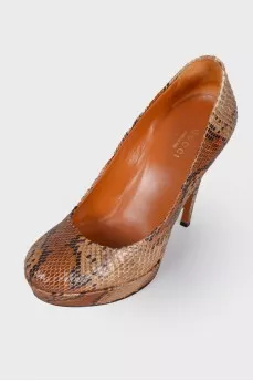Brown snakeskin shoes