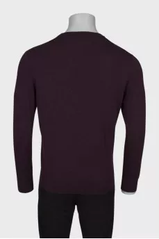 Slim fit men's wool sweater