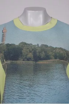 T-shirt with embroidered print