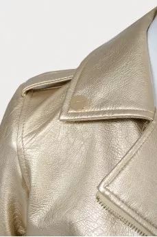 A golden jacket-kosha