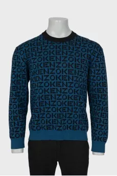 Men's sweater with signature print