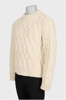 Men's sweater Bloger