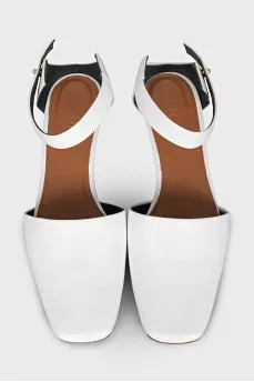 Pholidota slingbacks