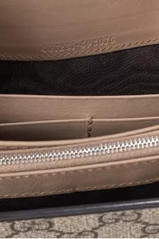 A Dionysus bag in the signature print