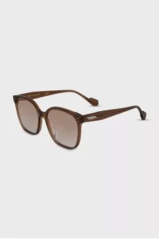 Brown Wayfarer Sunglasses