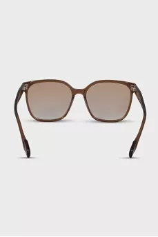 Brown Wayfarer Sunglasses