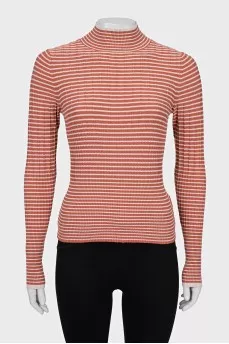 Striped fitted turtleneck