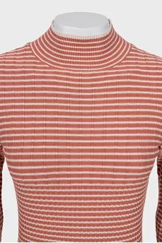 Striped fitted turtleneck