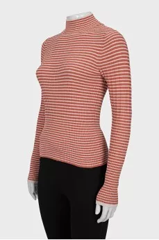 Striped fitted turtleneck