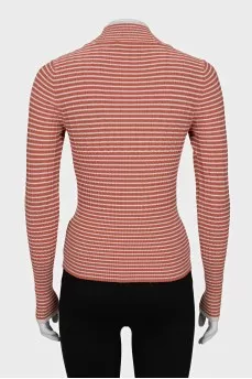 Striped fitted turtleneck