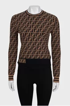 Brown jumper with signature print