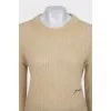 Translucent jumper with embroidered logo