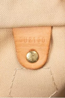 Сумка Speedy 35 в принт
