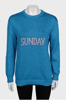 Shiny jumper with logo