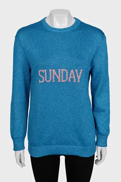 Shiny jumper with logo
