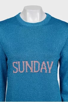 Shiny jumper with logo