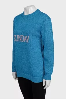 Shiny jumper with logo