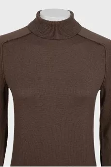 Brown dress with long sleeves and a high collar