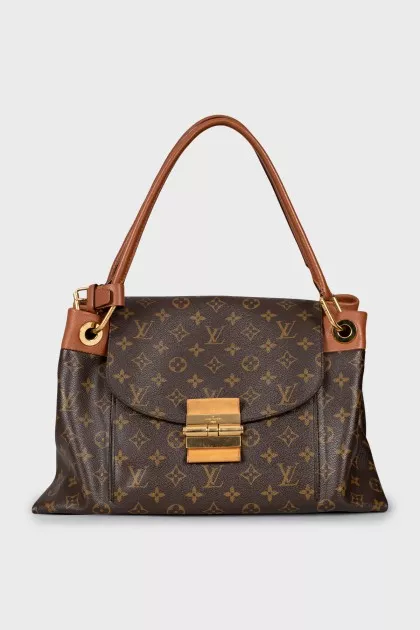 Olympus bag