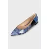 Балетки Gianvito Rossi for Etro