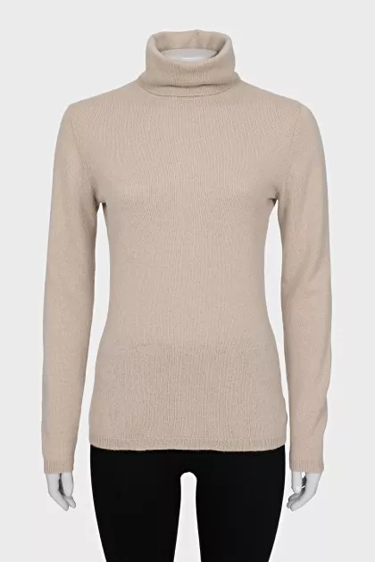 Thin turtleneck sweater