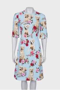 Blue print dress