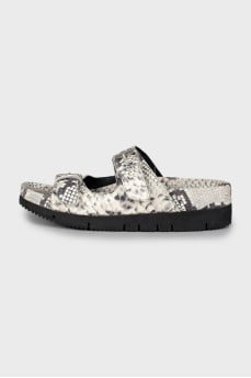 Animal print slides