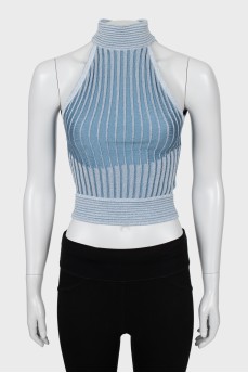 Lurex ribbed top