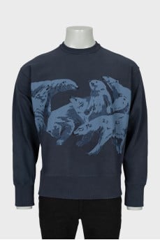 Men's blue printed sweatshirt