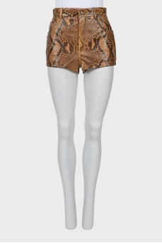 Python shorts with tag