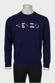 Men's sweater with brand logo