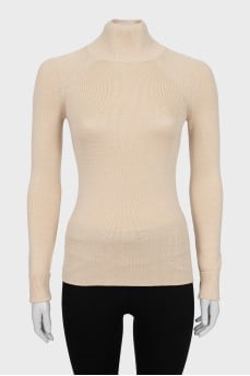 Long sleeve tight turtleneck