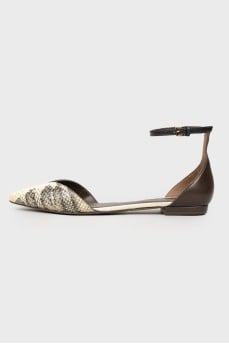 Ballets for the skin of reptile