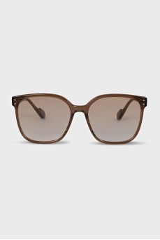 Brown Wayfarer Sunglasses