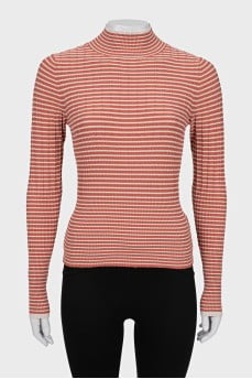 Striped fitted turtleneck