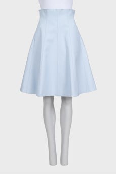 Blue high-waisted skirt