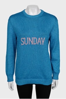 Shiny jumper with logo