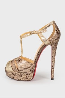 Golden sandals for snake skin
