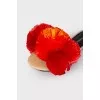 Slippers with red pom-poms