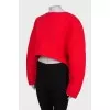 Red sweatshirt with back zip