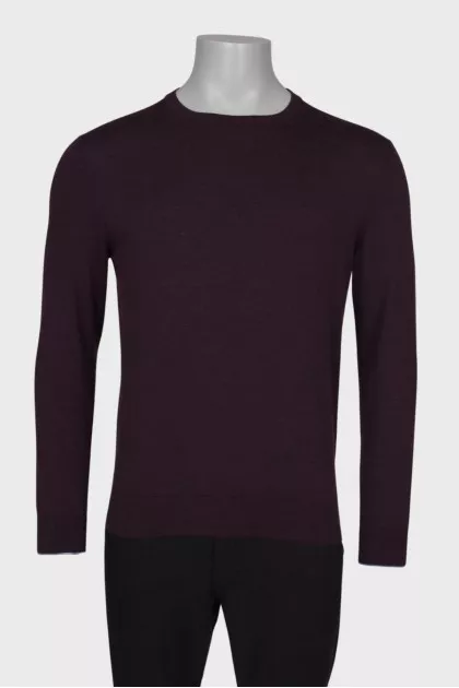 Slim fit men's wool sweater