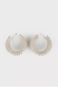 Hoop earrings with crystals