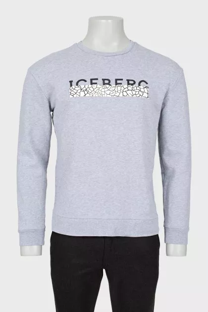Men's gray sweatshirt with print