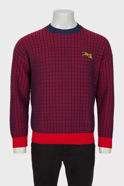 Men's ribbed knit sweater