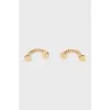 Earrings Hryvnia