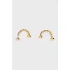 Earrings Hryvnia