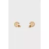 Round gold earrings