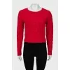 Red cropped sweater