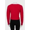 Red cropped sweater