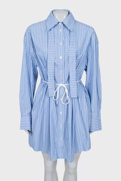 Striped fitted shirt dress